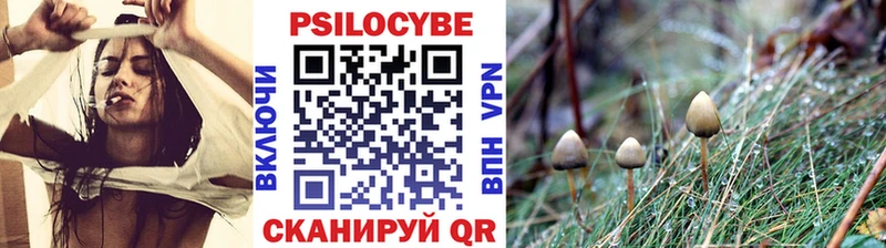 Галлюциногенные грибы мицелий  Раменское 